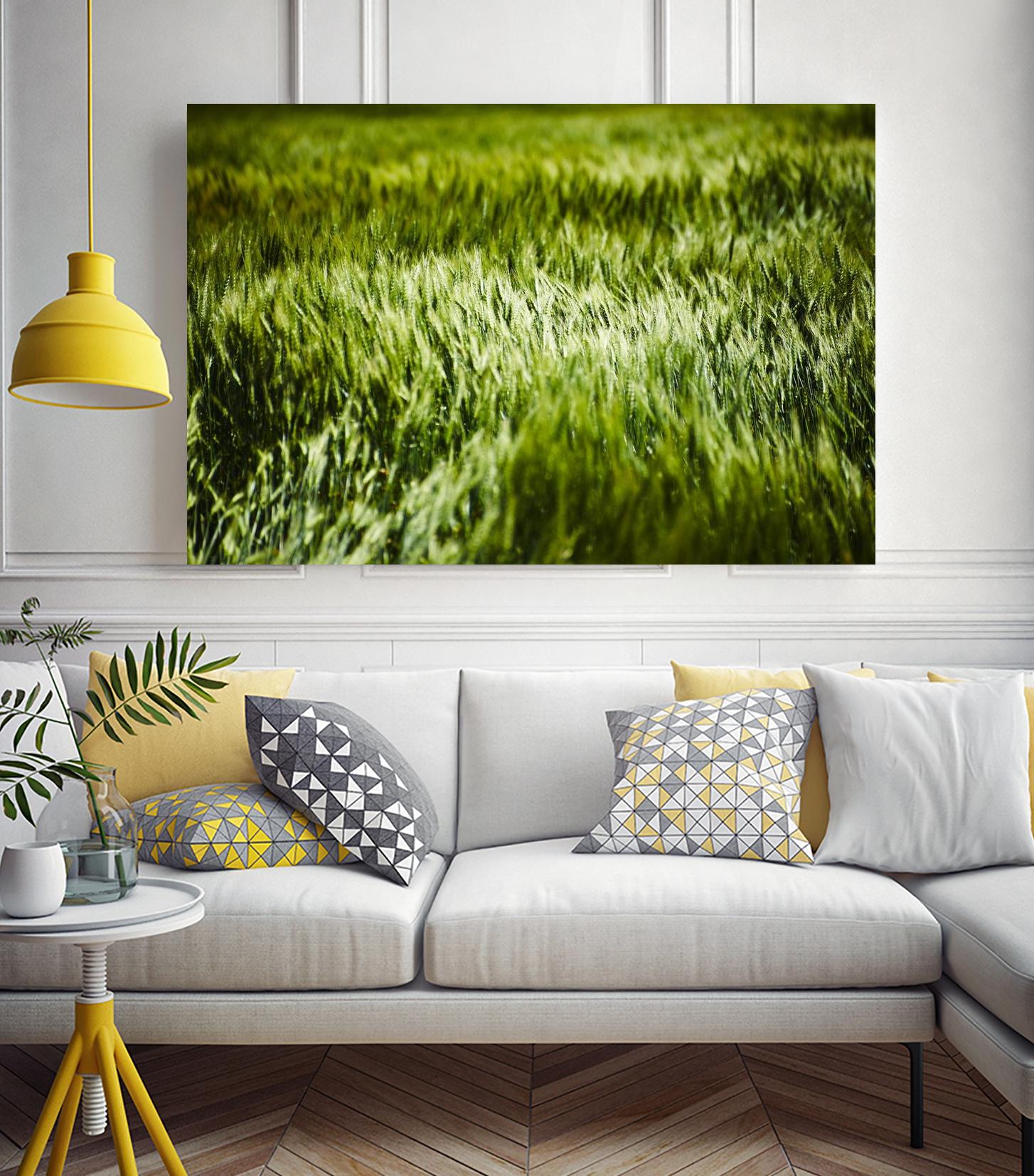 Grass IV by Peter Morneau on GIANT ART - green photo art