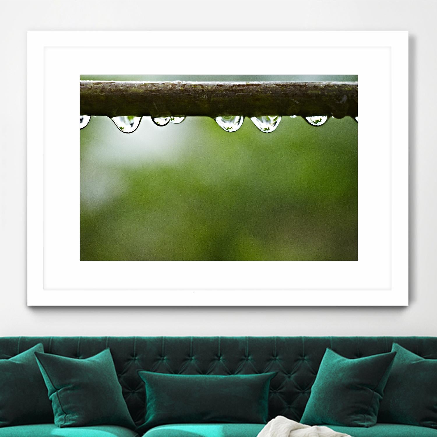 Drops of water II by Peter Morneau on GIANT ART - brown photo art