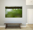 Drops of water II by Peter Morneau on GIANT ART - brown photo art