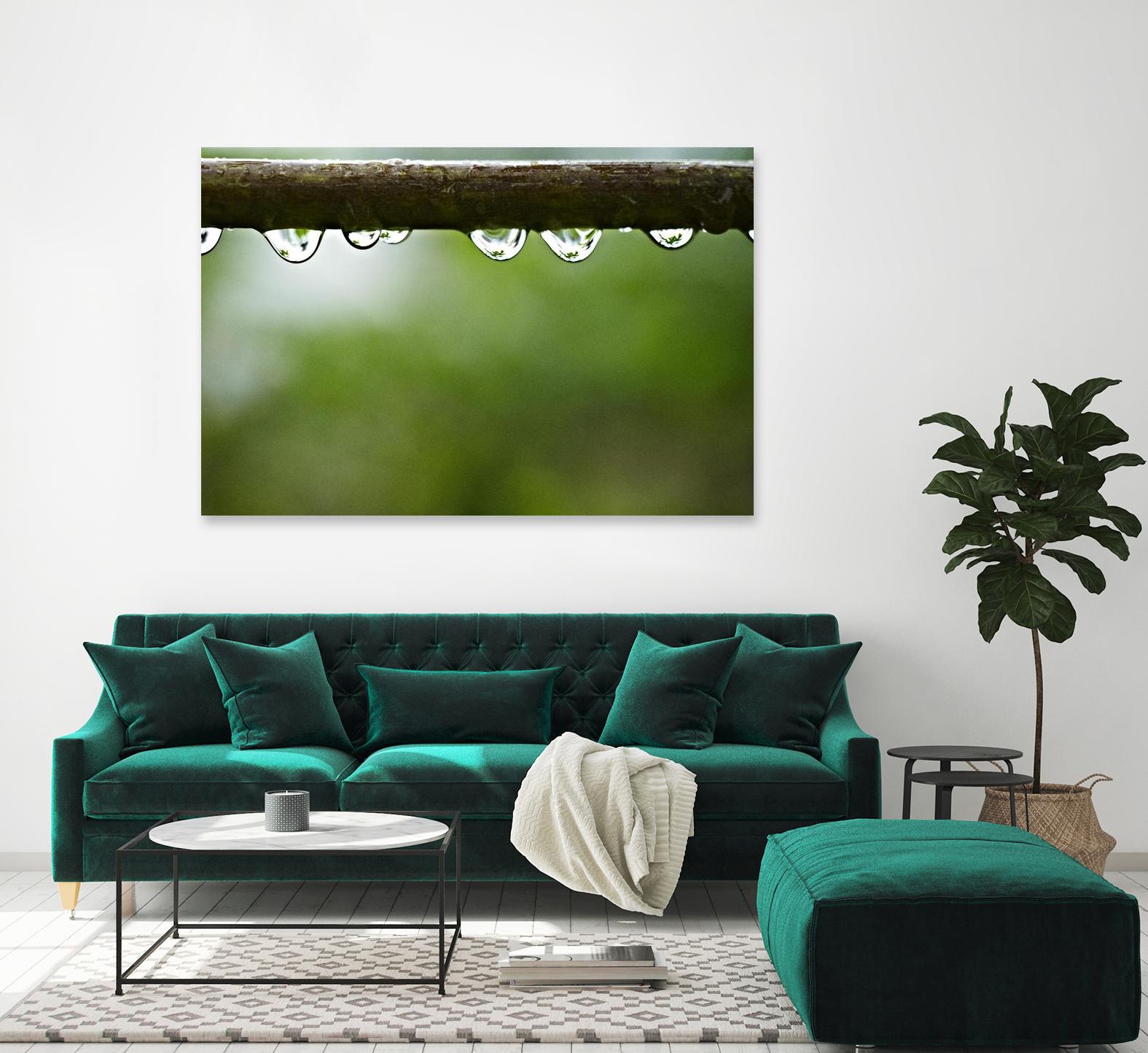 Drops of water II by Peter Morneau on GIANT ART - brown photo art