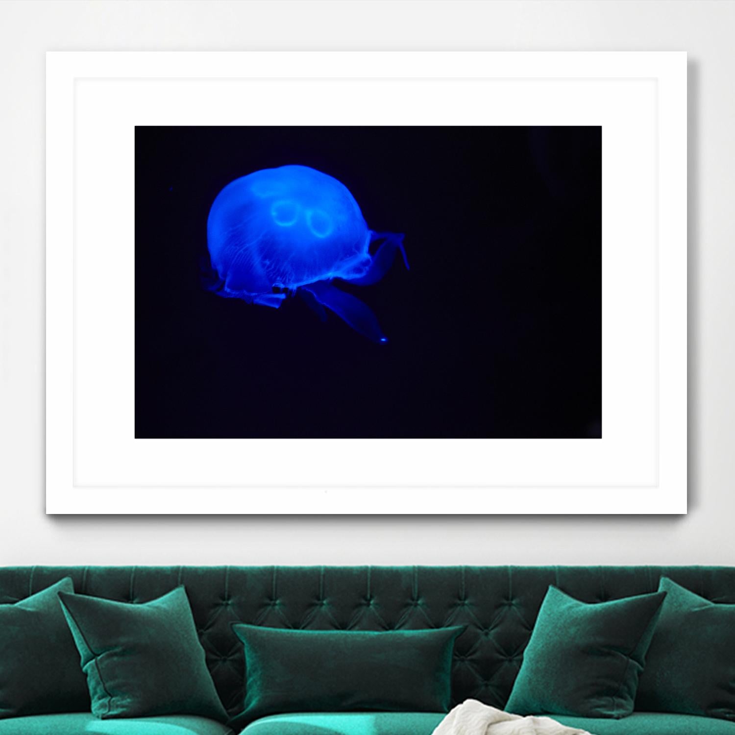 Blue and black III by Peter Morneau on GIANT ART - black photo art