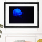 Blue and black III by Peter Morneau on GIANT ART - black photo art