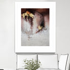 Vintage Wines II by Daleno Art on GIANT ART -  abstract