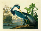 Louisiana Heron Plate 217 by Porter Design on GIANT ART - beige animals