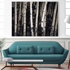 Birch Trees by Jamie Cook on GIANT ART - black landscape
