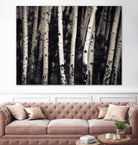 Birch Trees by Jamie Cook on GIANT ART - black landscape