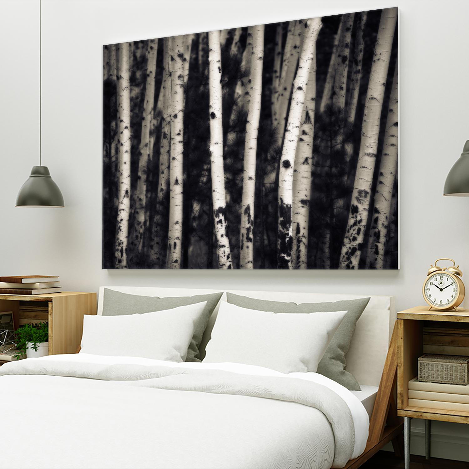 Birch Trees by Jamie Cook on GIANT ART - black landscape