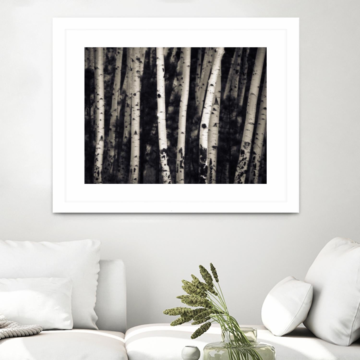 Birch Trees by Jamie Cook on GIANT ART - black landscape
