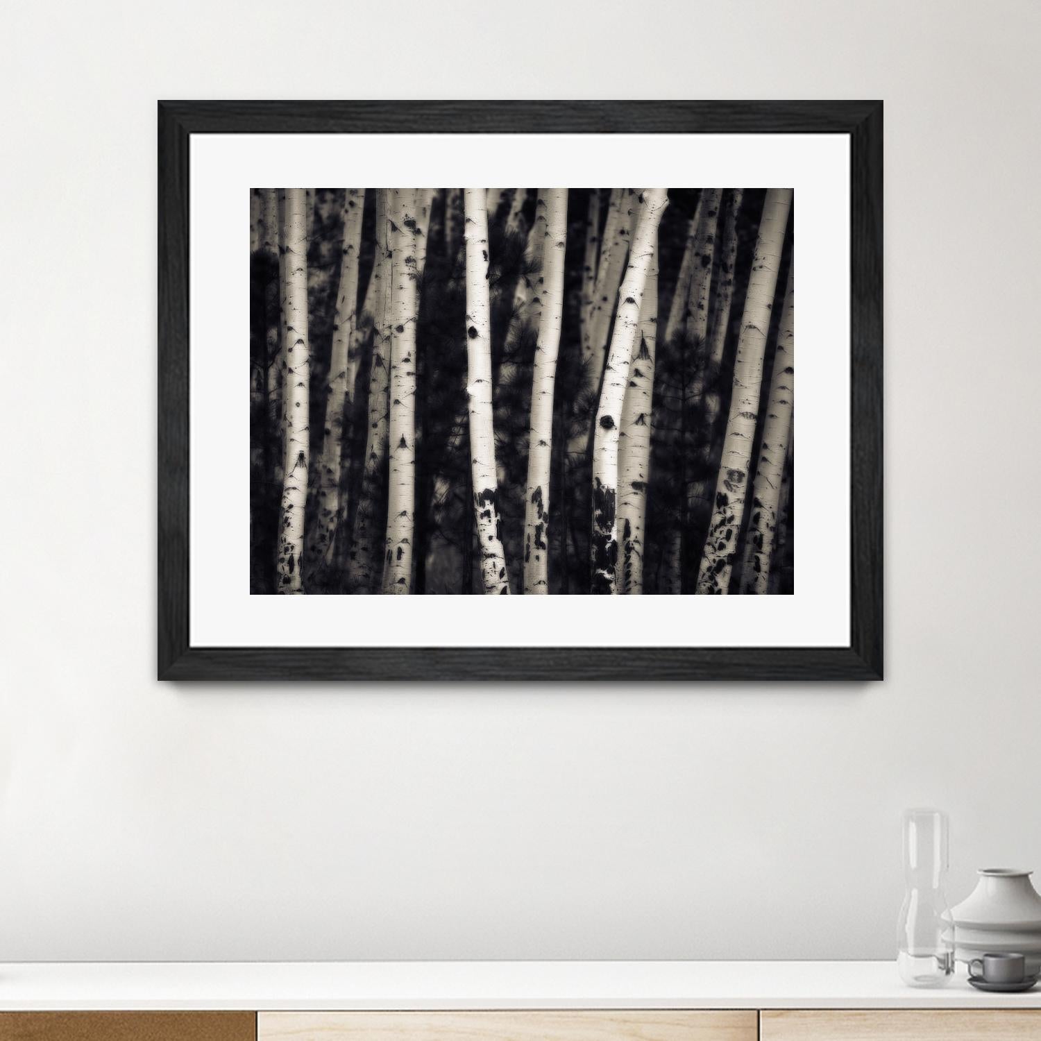 Birch Trees by Jamie Cook on GIANT ART - black landscape