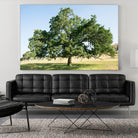 Strength by Acer Images on GIANT ART - blue trees