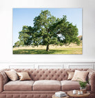 Strength by Acer Images on GIANT ART - blue trees