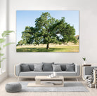 Strength by Acer Images on GIANT ART - blue trees