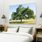 Strength by Acer Images on GIANT ART - blue trees