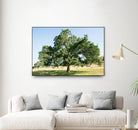 Strength by Acer Images on GIANT ART - blue trees