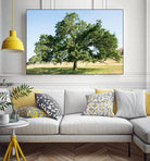 Strength by Acer Images on GIANT ART - blue trees