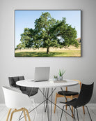 Strength by Acer Images on GIANT ART - blue trees