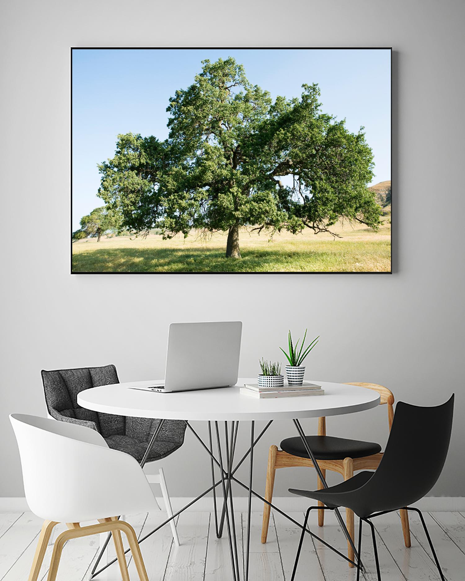 Strength by Acer Images on GIANT ART - blue trees