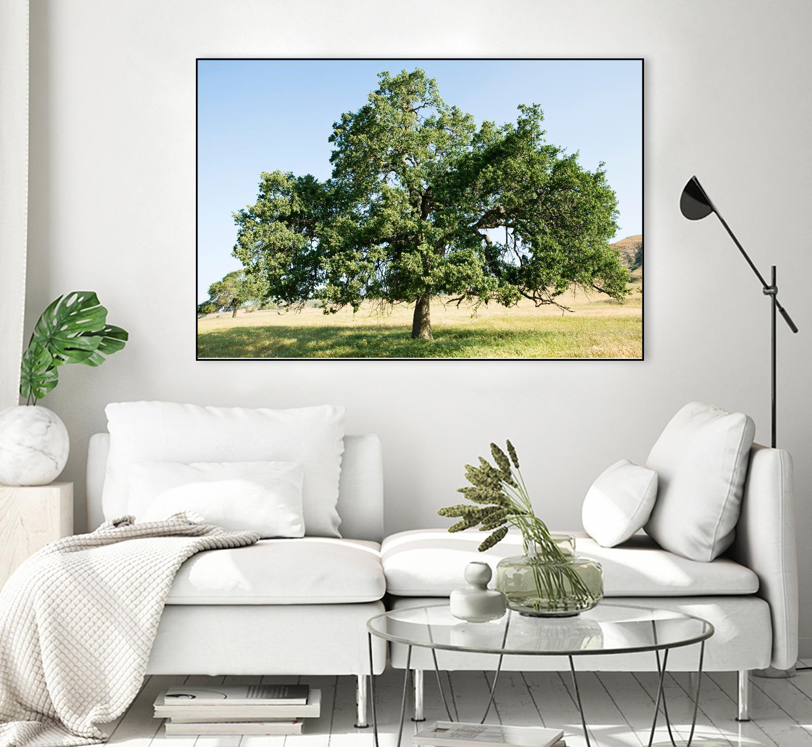 Strength by Acer Images on GIANT ART - blue trees