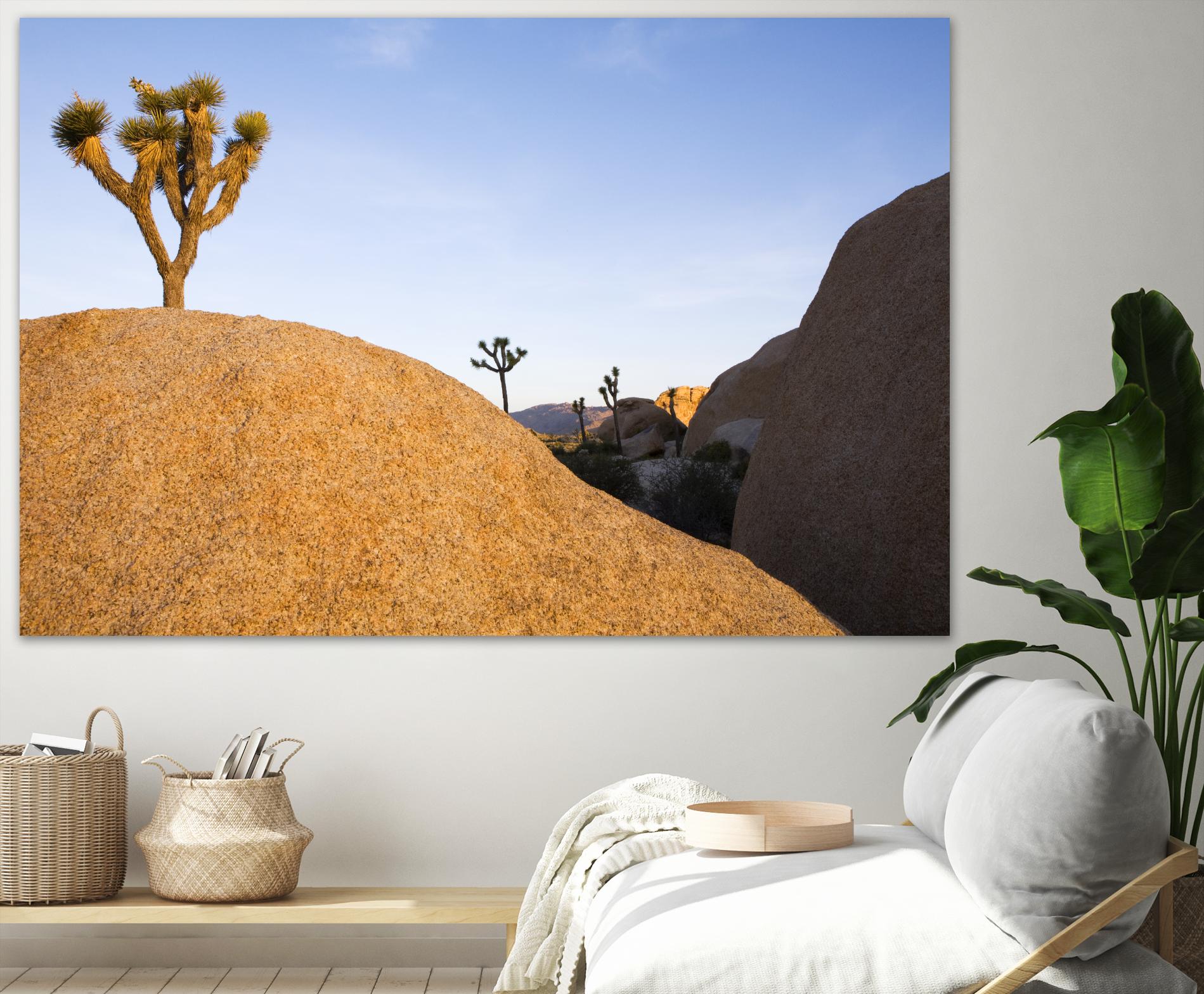 Joshua Tree Dream by Acer Images on GIANT ART - blue landscape