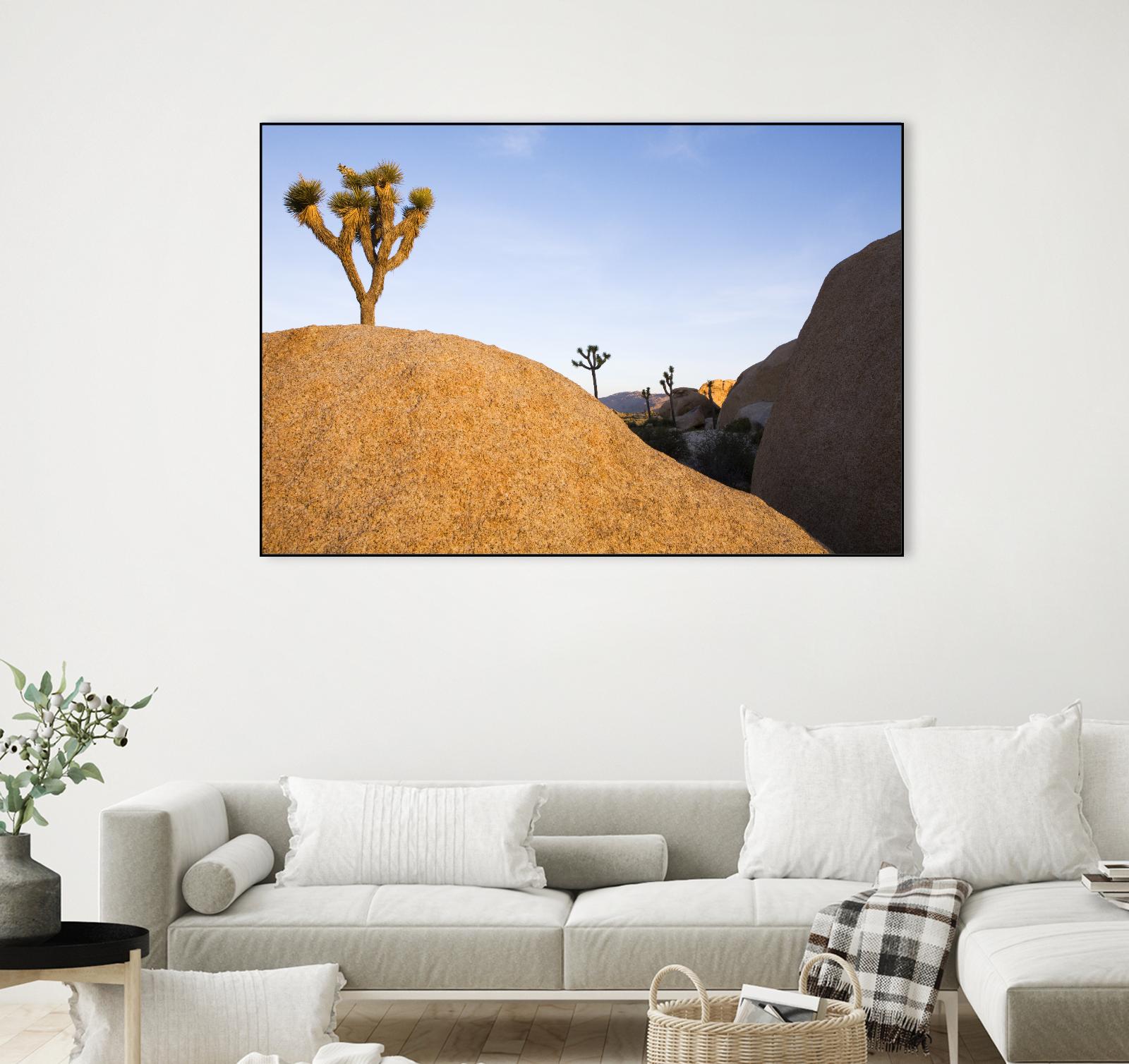 Joshua Tree Dream by Acer Images on GIANT ART - blue landscape