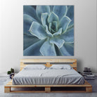 Sweet Succulent by Karen Ussery on GIANT ART - blue botany