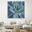 Sweet Succulent by Karen Ussery on GIANT ART - blue botany