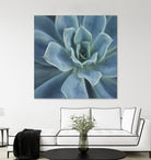 Sweet Succulent by Karen Ussery on GIANT ART - blue botany