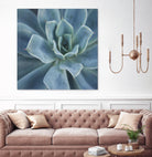 Sweet Succulent by Karen Ussery on GIANT ART - blue botany