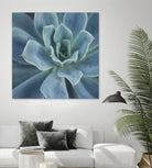 Sweet Succulent by Karen Ussery on GIANT ART - blue botany
