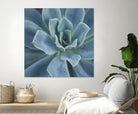 Sweet Succulent by Karen Ussery on GIANT ART - blue botany