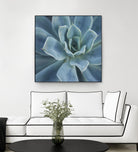 Sweet Succulent by Karen Ussery on GIANT ART - blue botany