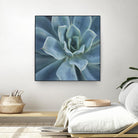 Sweet Succulent by Karen Ussery on GIANT ART - blue botany
