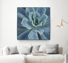 Sweet Succulent by Karen Ussery on GIANT ART - blue botany