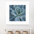 Sweet Succulent by Karen Ussery on GIANT ART - blue botany