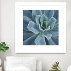 Sweet Succulent by Karen Ussery on GIANT ART - blue botany