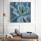 Sweet Succulent by Karen Ussery on GIANT ART - blue botany