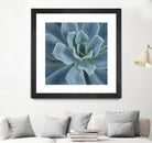 Sweet Succulent by Karen Ussery on GIANT ART - blue botany