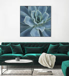Sweet Succulent by Karen Ussery on GIANT ART - blue botany