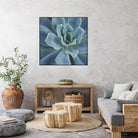 Sweet Succulent by Karen Ussery on GIANT ART - blue botany