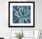 Sweet Succulent by Karen Ussery on GIANT ART - blue botany