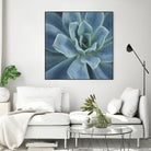 Sweet Succulent by Karen Ussery on GIANT ART - blue botany