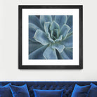 Sweet Succulent by Karen Ussery on GIANT ART - blue botany