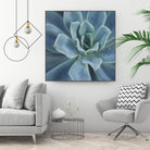 Sweet Succulent by Karen Ussery on GIANT ART - blue botany