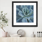 Sweet Succulent by Karen Ussery on GIANT ART - blue botany