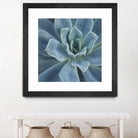 Sweet Succulent by Karen Ussery on GIANT ART - blue botany