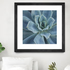 Sweet Succulent by Karen Ussery on GIANT ART - blue botany