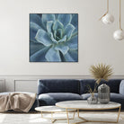 Sweet Succulent by Karen Ussery on GIANT ART - blue botany