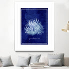 Marine Collection C by GI ArtLab on GIANT ART - blue nautical