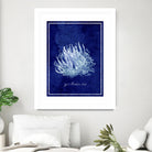 Marine Collection C by GI ArtLab on GIANT ART - blue nautical