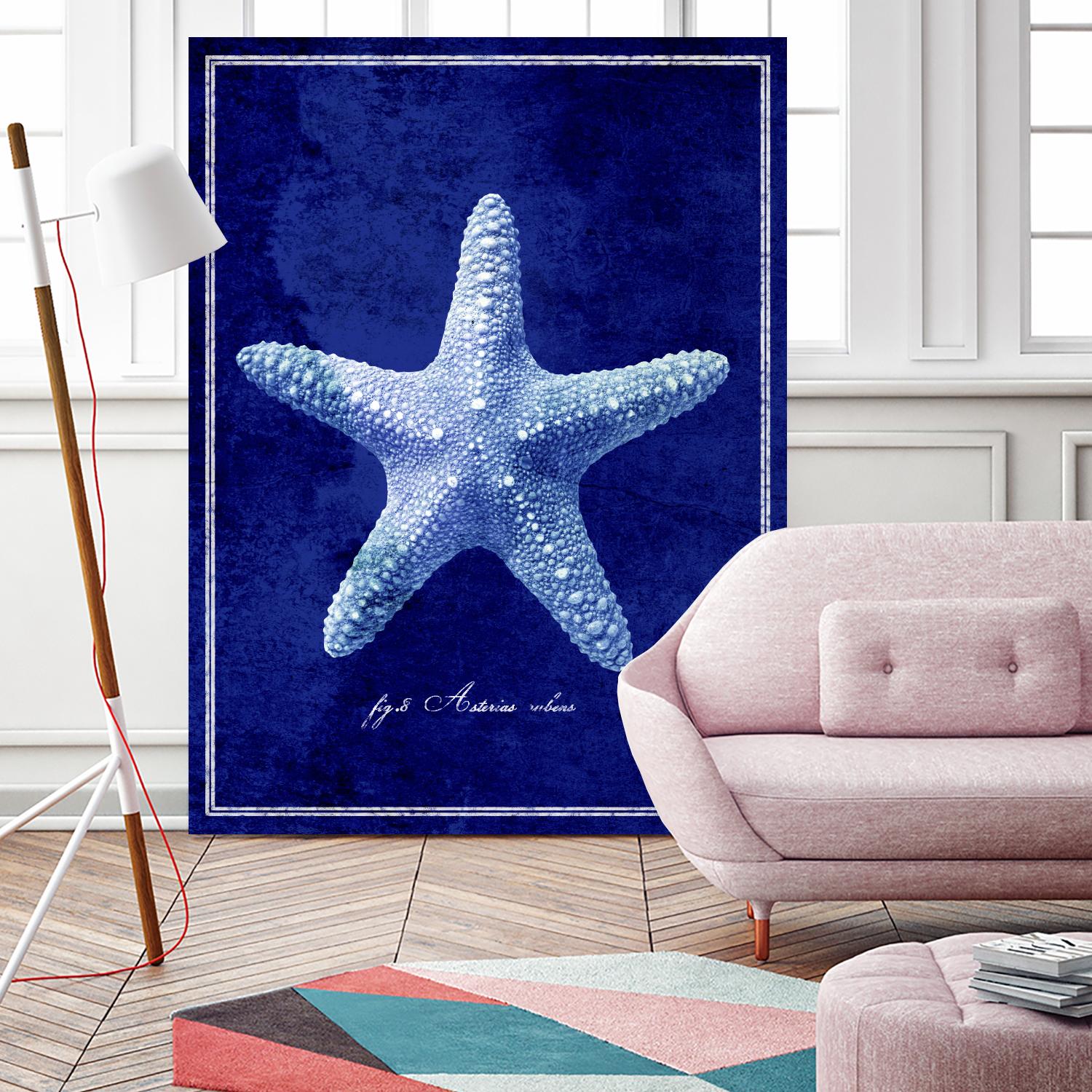 Starfish by GI ArtLab on GIANT ART - blue nautical